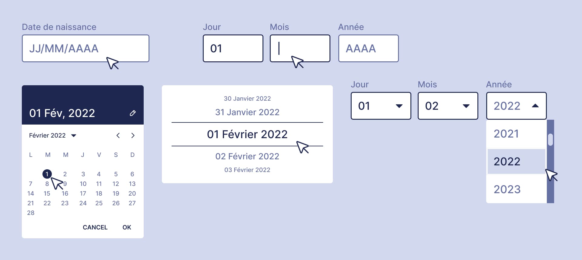 [Image] Exemple de différents champs de saisie pour renseigner une date de naissance.